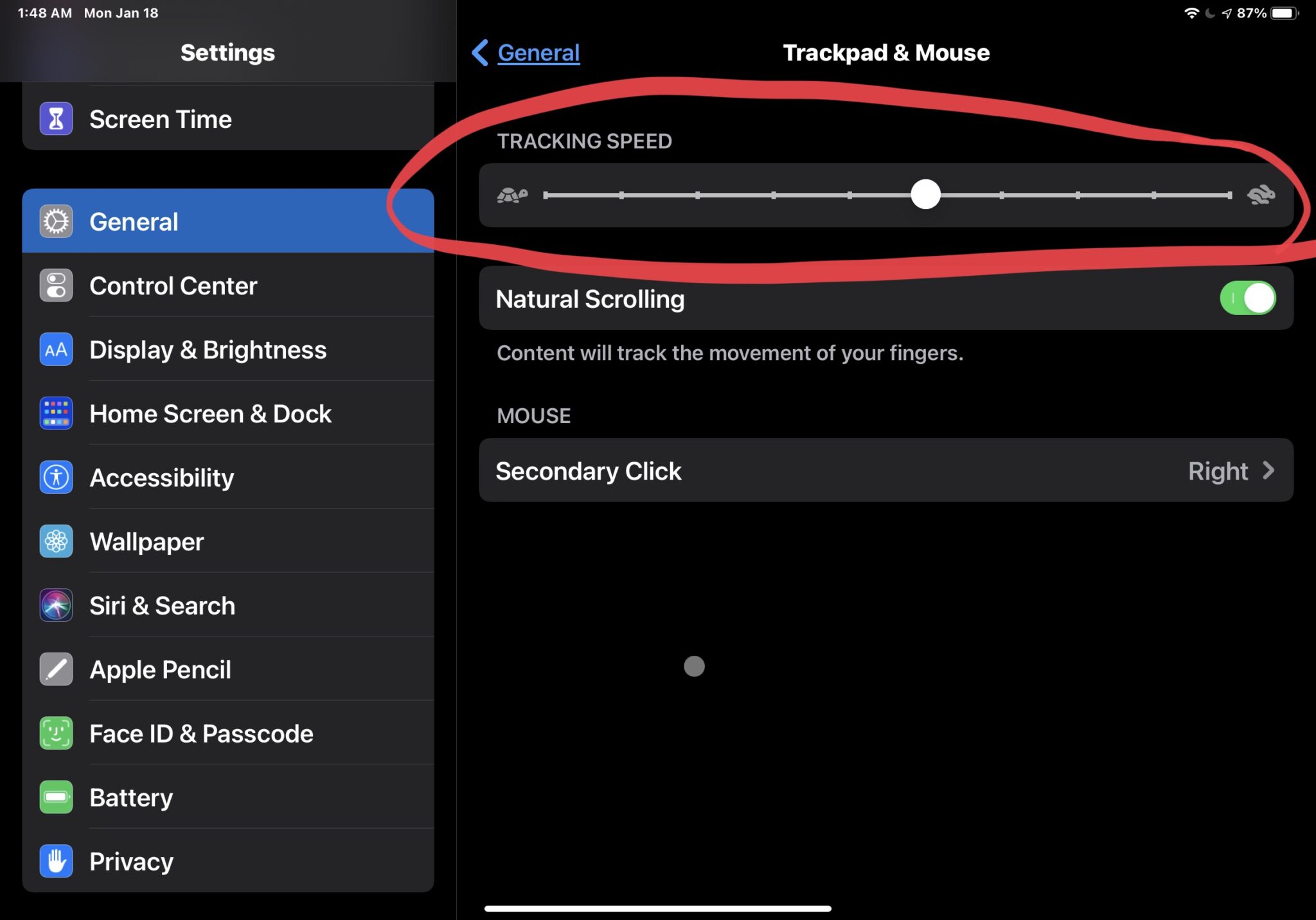 如何更改 iPad 光标的跟踪速度