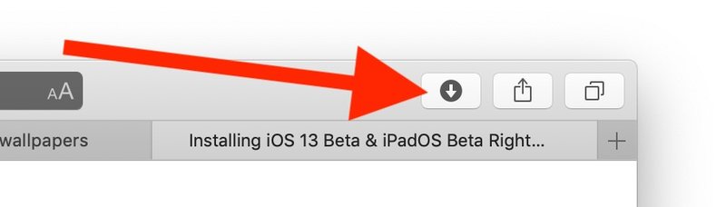 如何访问 Safari在 Mac 上下载以恢复停止的下载
