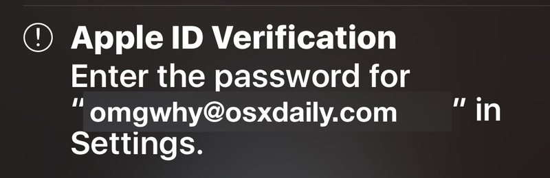Apple ID 密码验证提醒请求