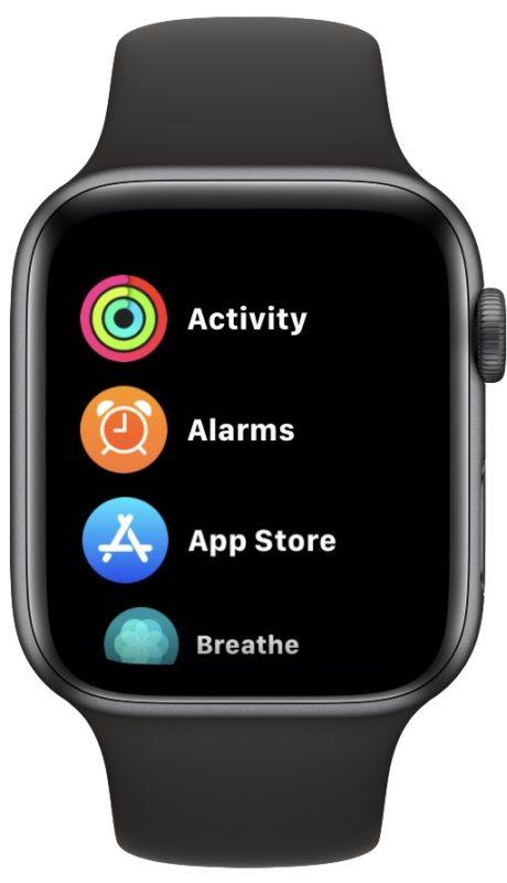 Apple Watch 应用程序