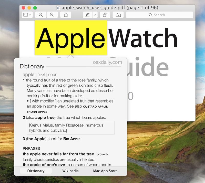 在 Mac OS X 中使用点击技巧定义单词
