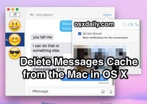 删除消息缓存 & Mac OS X 中的历史