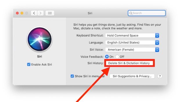 如何删除与 Mac 关联的 Siri 历史记录