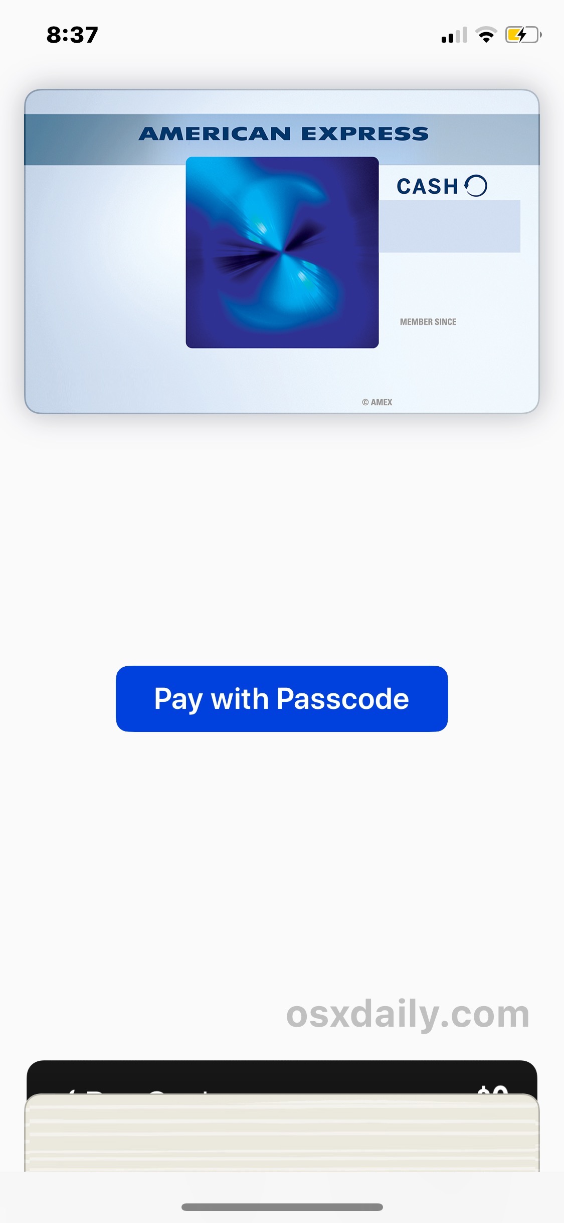 Apple Pay 出现在锁上iPhone X 的屏幕” />  </p>
<p>同样，这个双电源按钮按下钱包访问是 iPhone X 特有的（当然任何其他 iPhone 型号都没有主页按钮），但是如果你发现自己不小心在其他 iPhone 设备上打开了 Apple Pay，你可以 < a href=