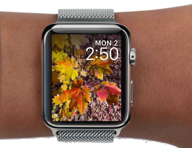 自定义照片 Apple Watch 表盘