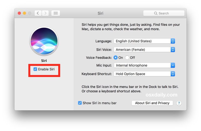 如何在不受支持的 Mac 上获取 Hey Siri 