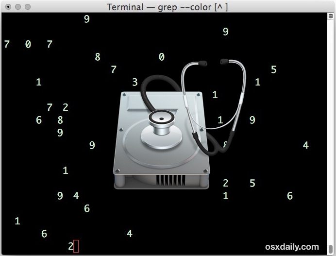从 Mac 驱动器上擦除可用空间命令行