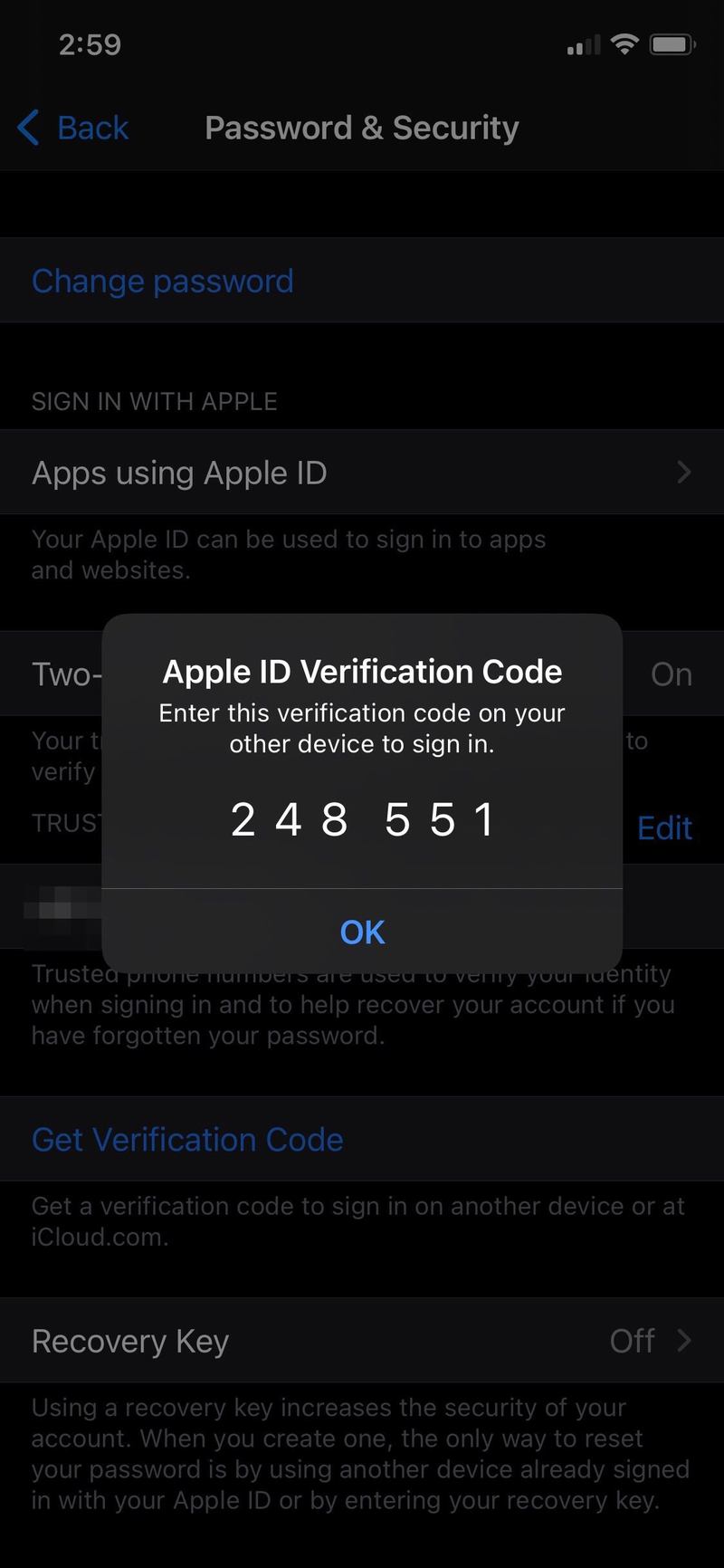 如何在 iPhone 和 iPad 上手动获取 Apple ID 验证码
