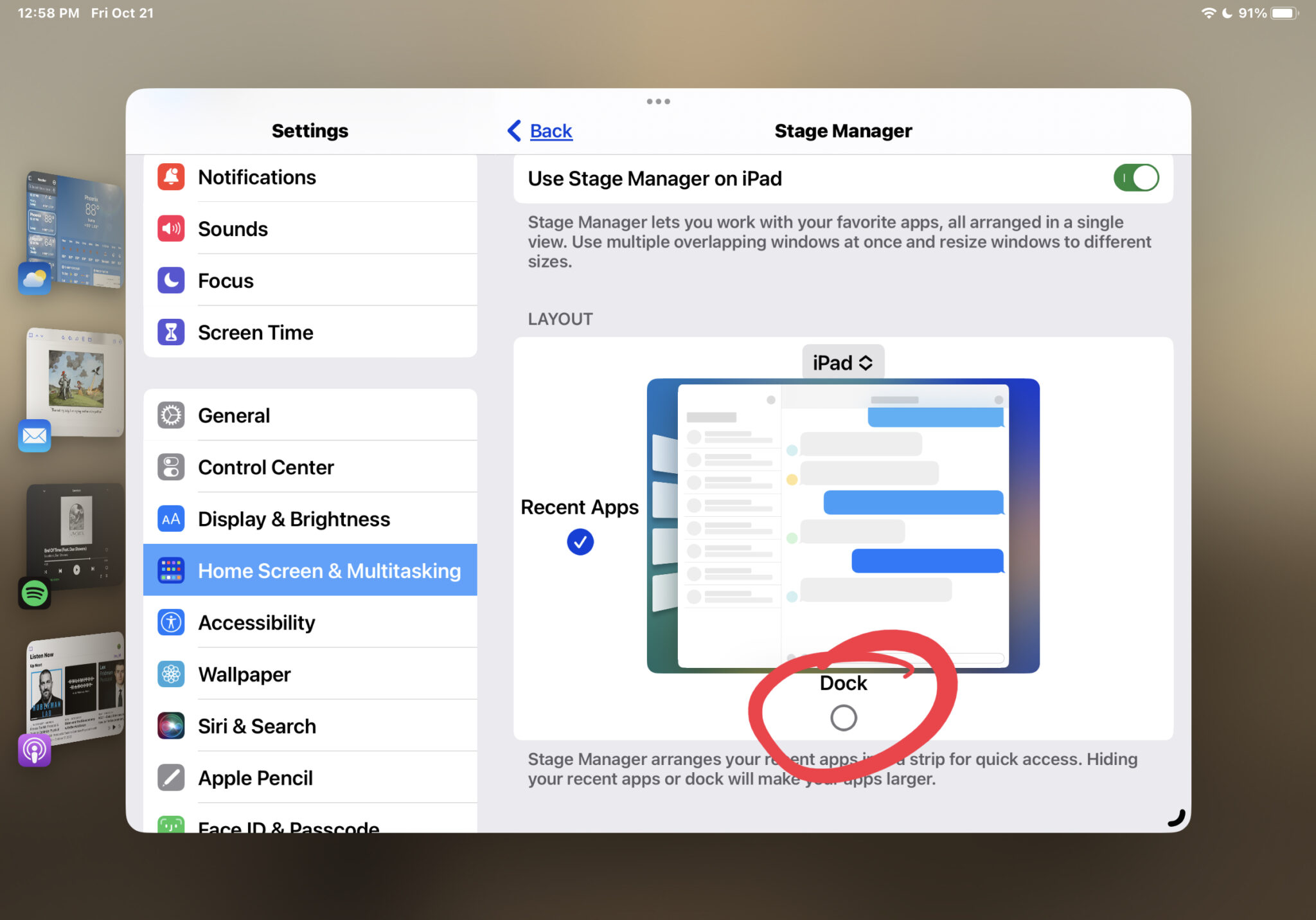 在 iPad 上从 Stage Manager 隐藏 Dock 