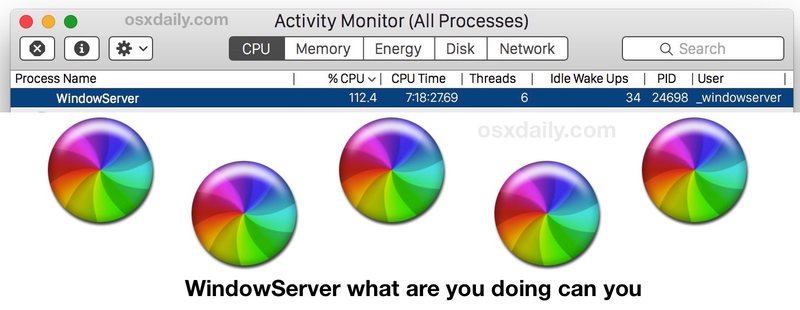 WindowServer，你怎么吃那么多CPU？我给你买了一台新的 Mac，你还想要什么？请 WindowServer 乖一点。” />  </p>
<p>如果您已完成上述所有操作，并且继续发现 WindowServer 运行异常或 Mac 运行异常缓慢，那么值得 <a href=