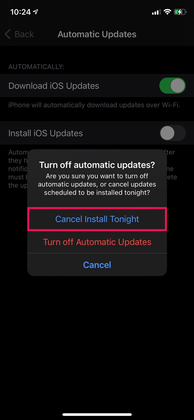 如何取消 iOS 和 iPadOS 更新的自动安装