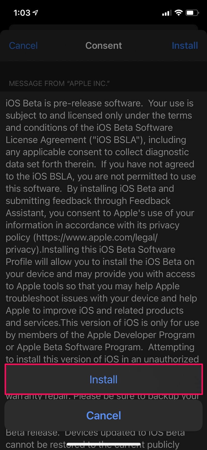 如何在iPhone上安装iOS 15 Developer Beta
