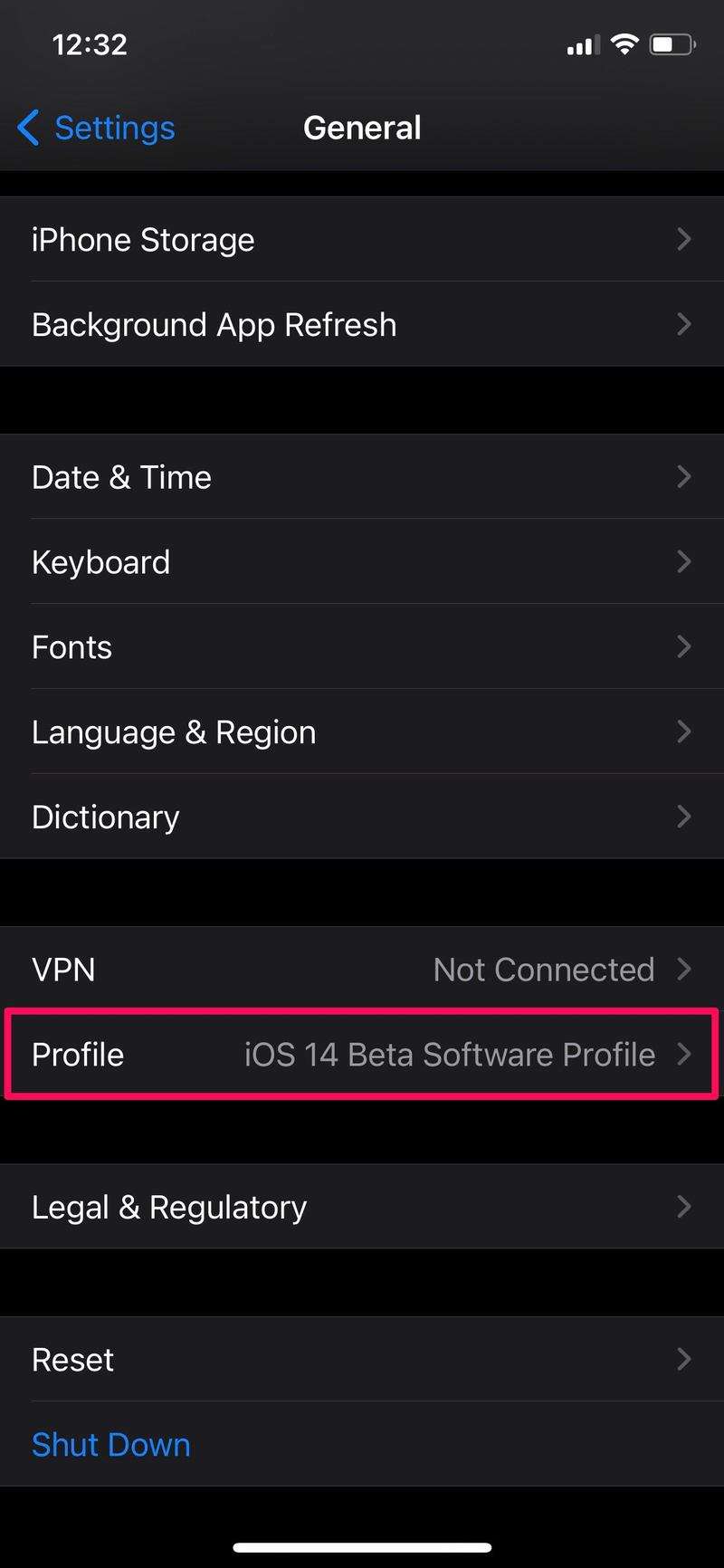 如何退出 iOS 14 Beta 和 iPadOS 14 Beta