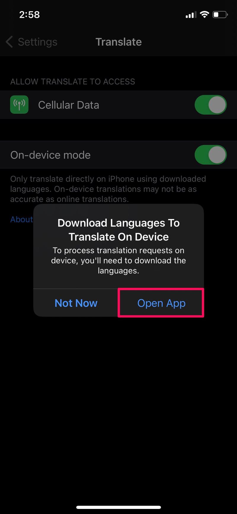 如何在 iPhone 上启用设备上的翻译模式