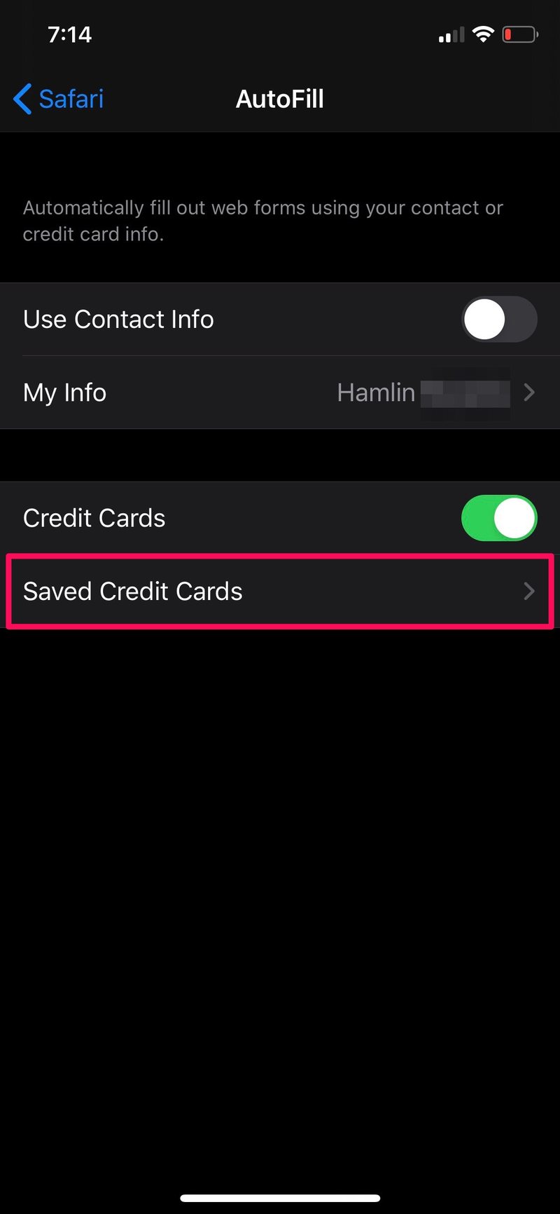 如何在 iPhone 和 iPad 上的 Safari 中保存信用卡信息