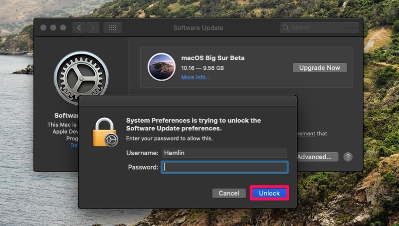 如何从 Developer & Public Beta 中取消注册您的 Mac