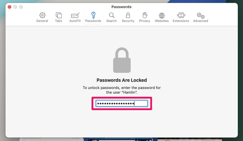 如何在 Mac 上使用 Safari 密码监控