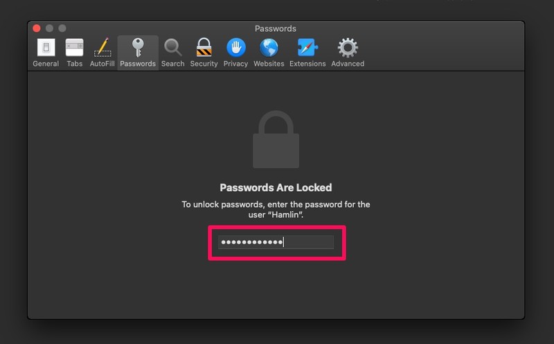 如何在 Mac 上的 Safari 中查看保存的密码