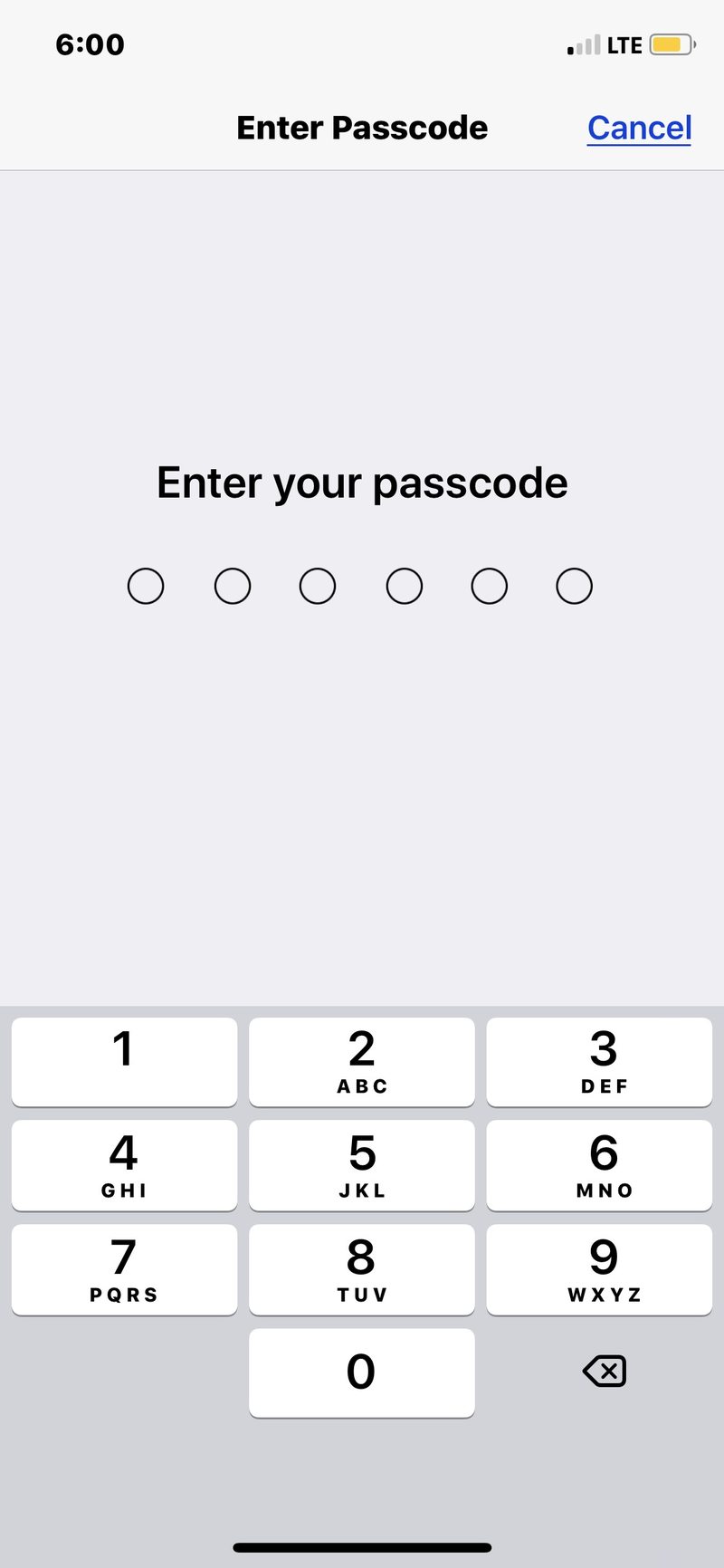 如何在 iPhone 或 iPad 上禁用密码