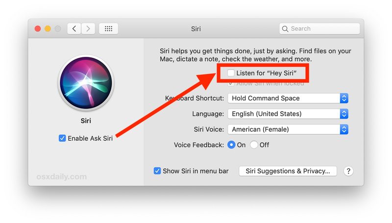 如何在 Mac 上启用 Hey Siri