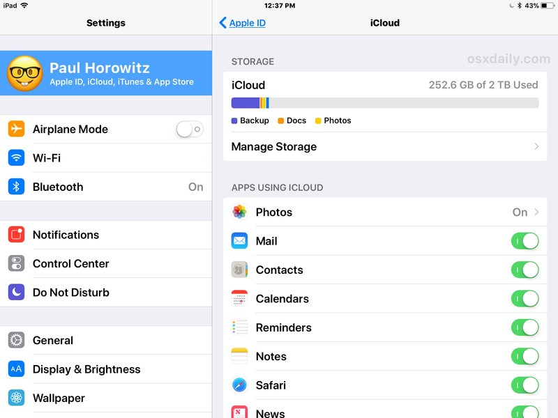 在 iPad 上看到的 iOS 中的 iCloud 设置