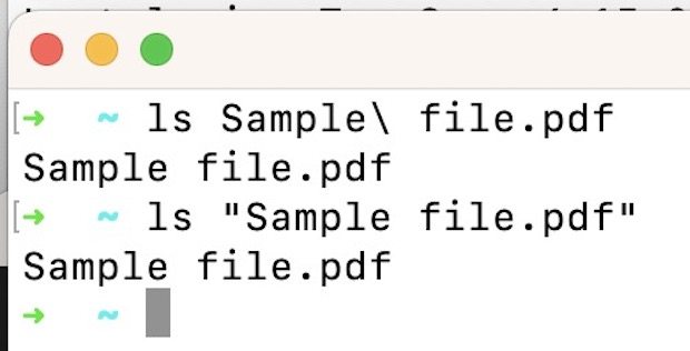 与包含的文件名交互Mac 命令行中的空格