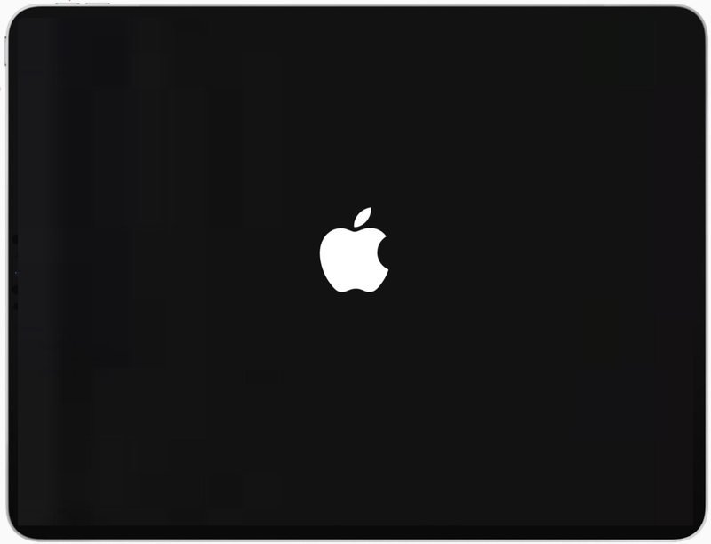 iPad 卡在 Apple 徽标屏幕上