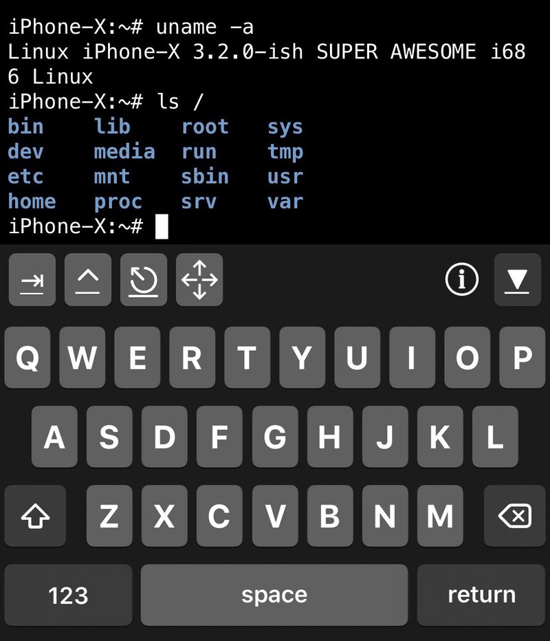 iPhone 和 iPad 上的 iSH Linux shell