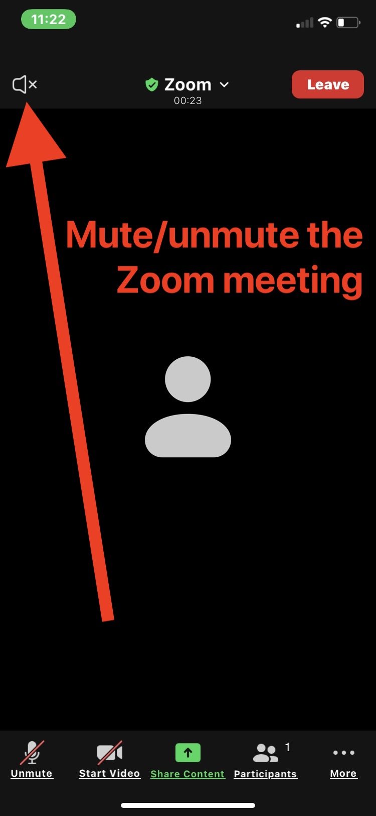 在 iPhone 上将整个 Zoom 会议静音或取消静音