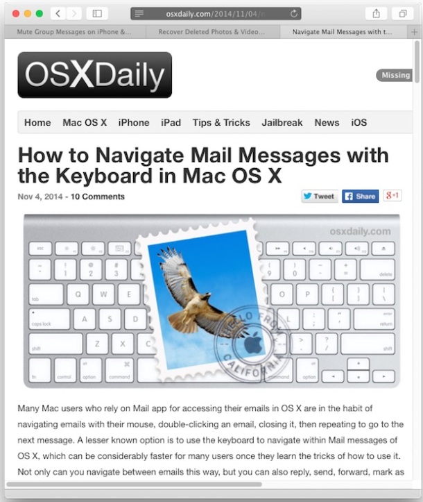 适用于 Mac OS X 的 Safari 中带有多个私人标签的私人浏览窗口