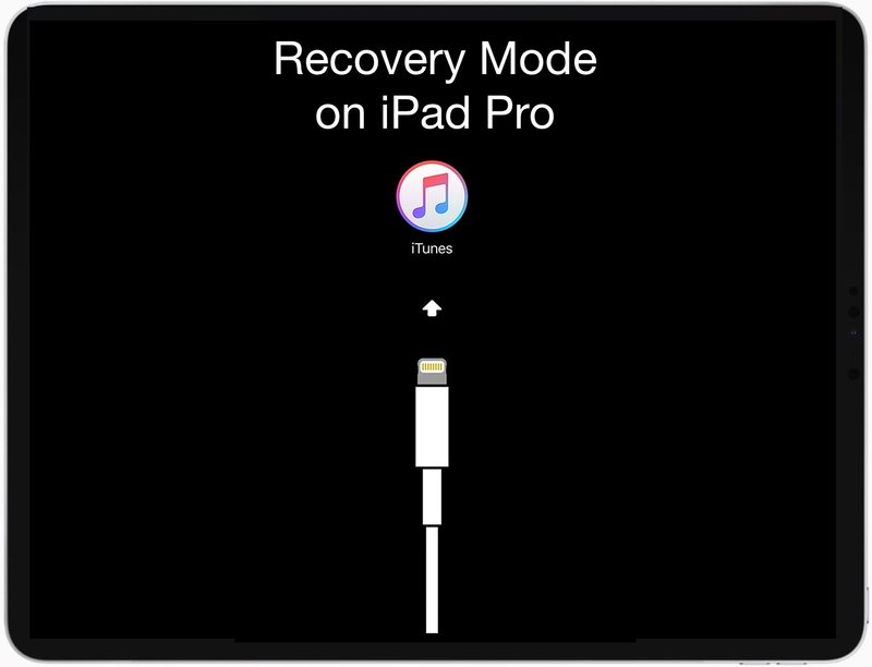 如何在 iPad Pro 上进入和退出恢复模式