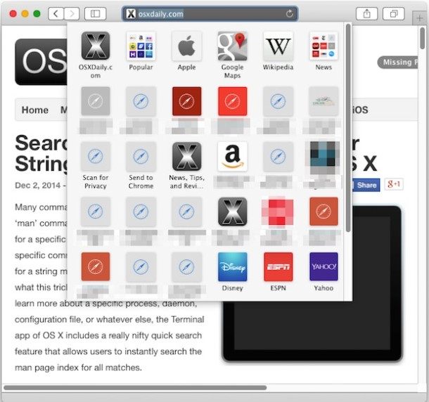 Safari 书签面板图标在 Mac OS X 中