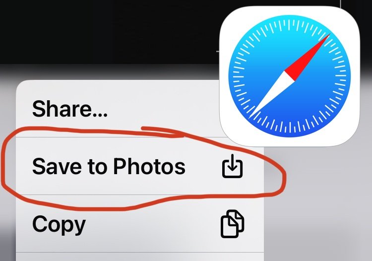 如何从 Safari 保存图片到 iPhone 照片应用程序