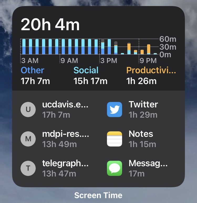 屏幕时间在 iPhone 和 iPad 上显示错误的应用程序和网页估计时间
