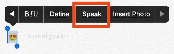 在 iPhone 上使用 Speak 命令定义表情符号