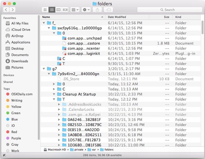 临时缓存文件夹和系统变量OS X 中的私人文件夹