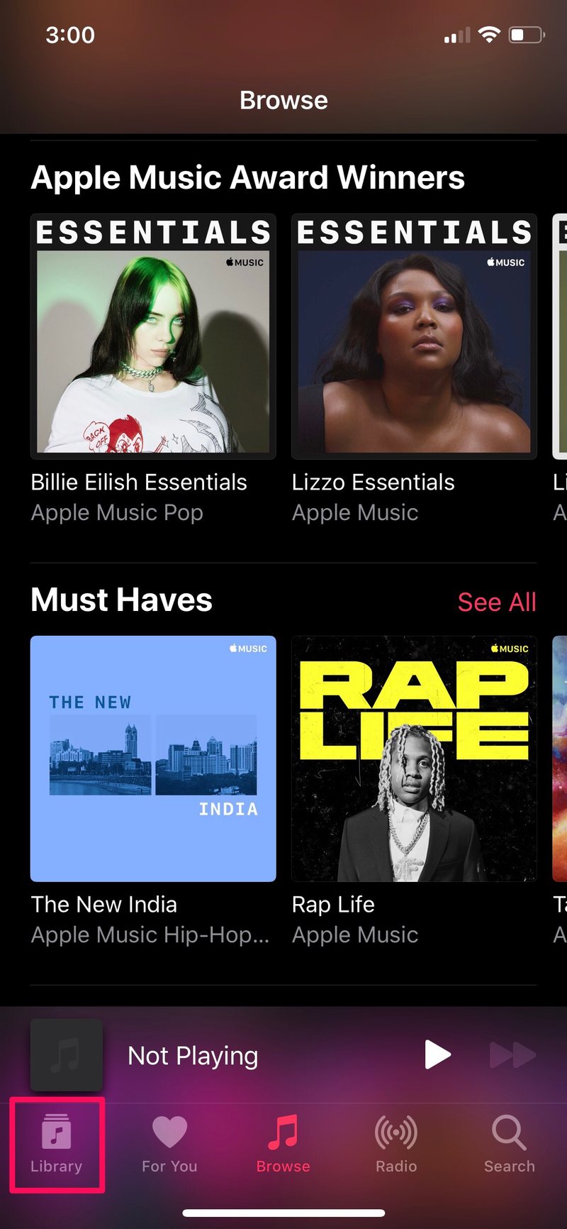 如何查看 Apple Music 中播放次数最多的前 25 首歌曲