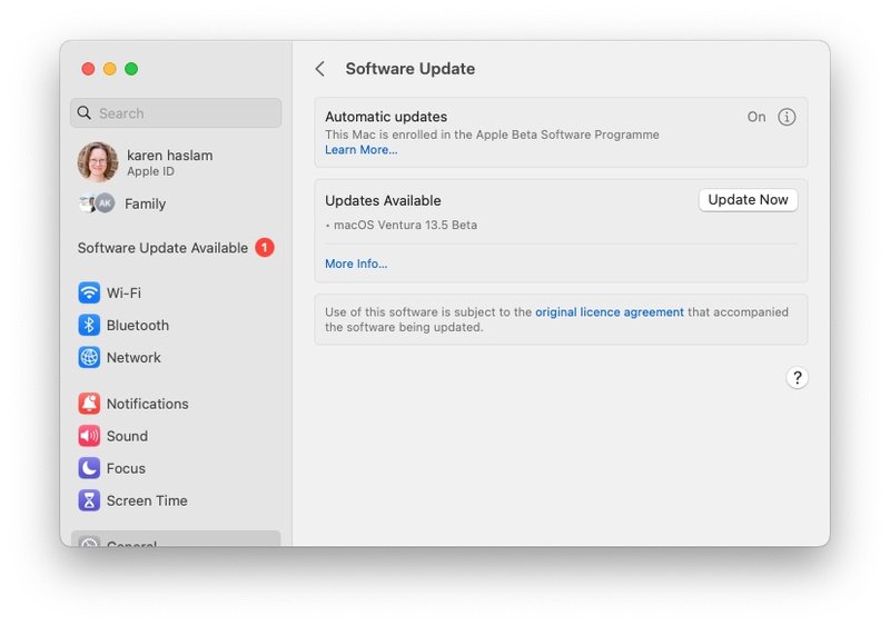软件更新中的 macOS Beta