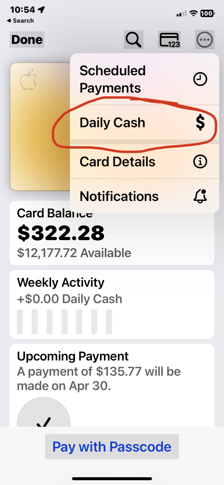 如何设置苹果储蓄账户在 iPhone 上