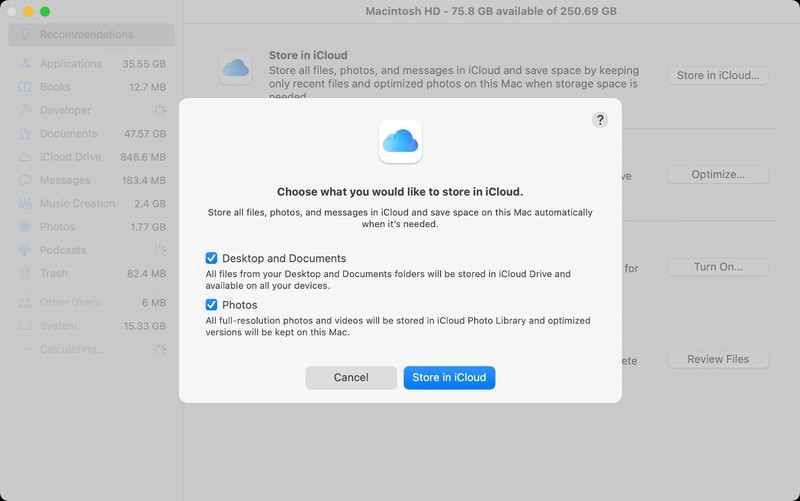 macOS Big Sur 优化 iCloud 存储
