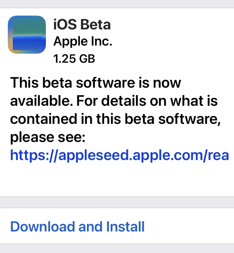 如何选择加入或退出 iOS beta 更新和 iPadOS beta 更新